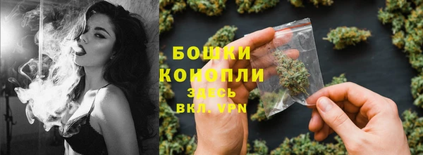 трава Осташков