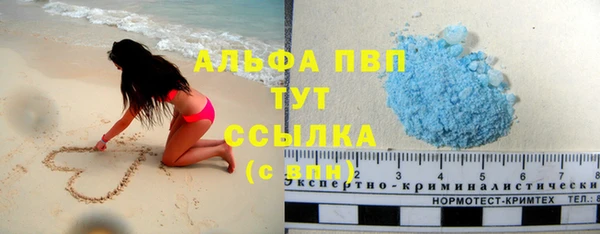 молекула духа Осинники