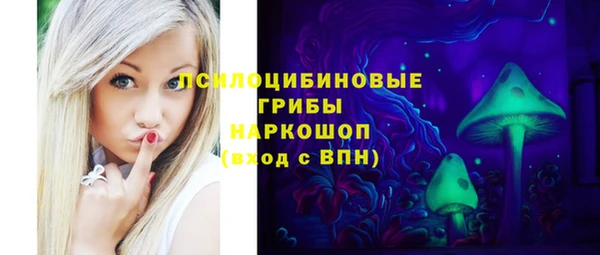 дмт Алзамай