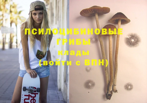твердый Алексеевка