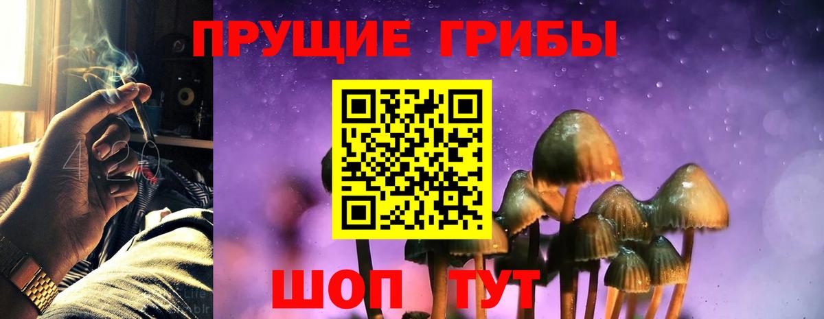 Псилоцибиновые грибы Psilocybine cubensis  Вход с VPN  дарнет шоп  Псилоцибиновые грибы MAGIC MUSHROOMS  Рязань 